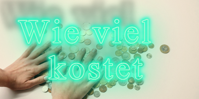 wie viel kostet